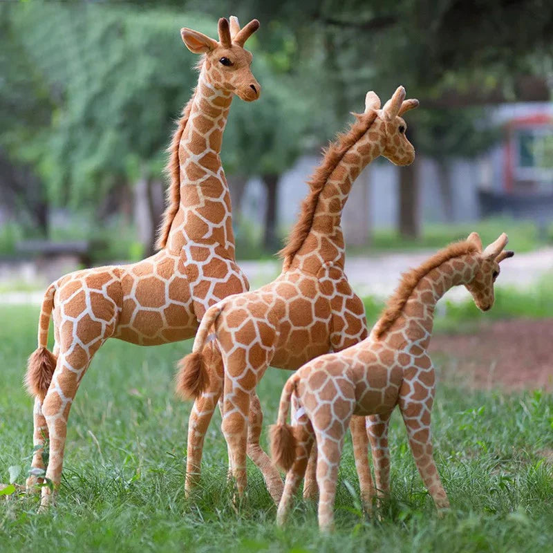 Hug Big Giraffe