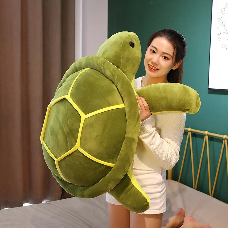 Hug Tortoise