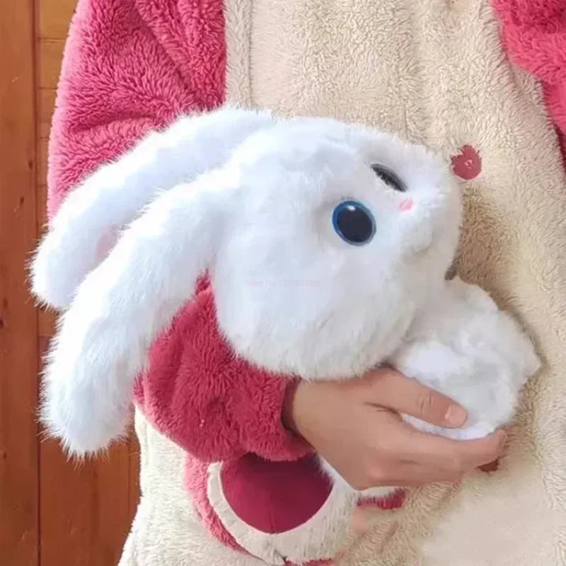 Hug Cute Rabbit