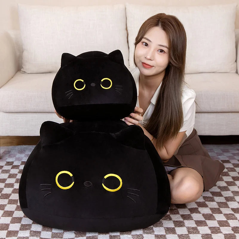 Hug Big Black Cat